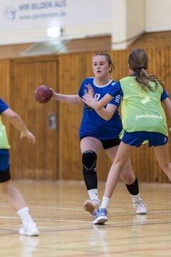 Bild 240 - wBJ TSV Ellerau - HSG Stoertal Hummeln : Ergebnis: 26:19